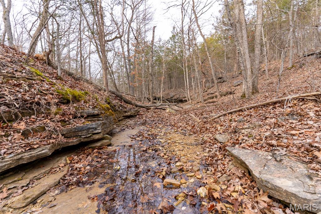 Sanctuary Farms Sub - Land