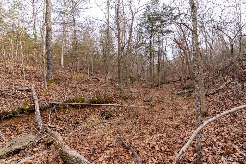 Sanctuary Farms Sub - Land