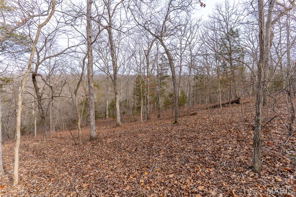 Sanctuary Farms Sub - Land