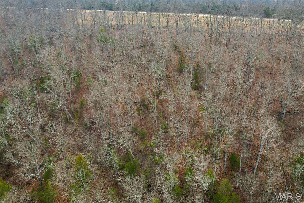 Sanctuary Farms Sub - Land