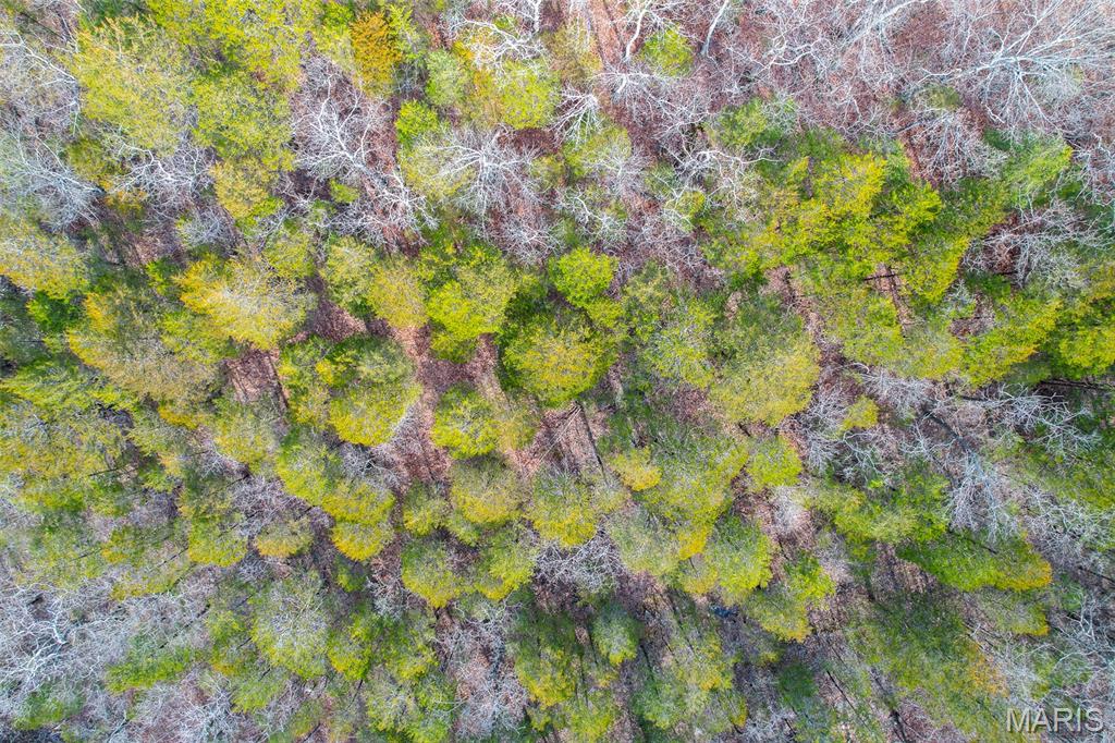 Sanctuary Farms Sub - Land