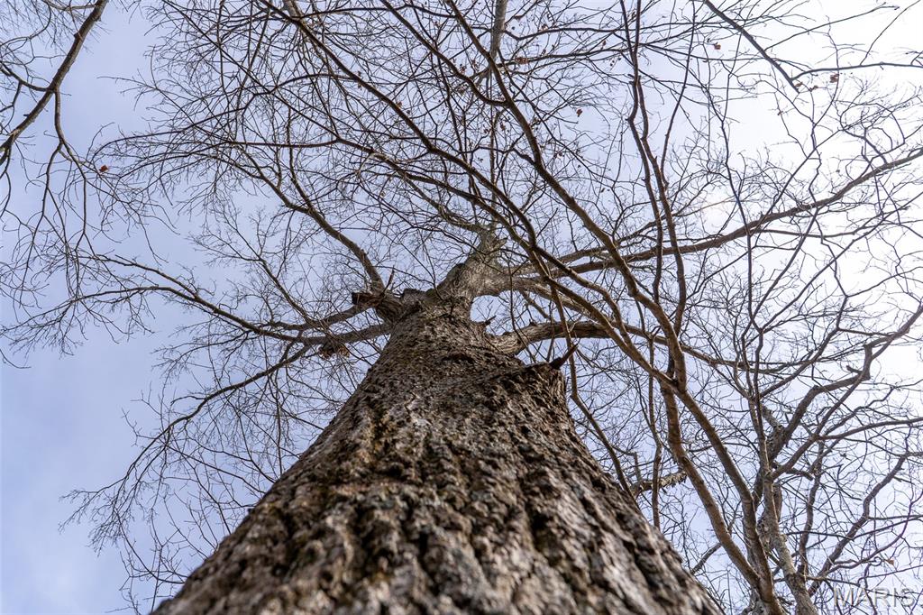 Sanctuary Farms Sub - Land