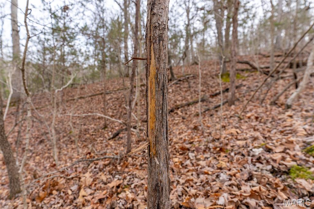 Sanctuary Farms Sub - Land