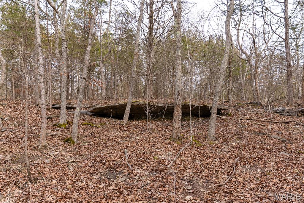 Sanctuary Farms Sub - Land