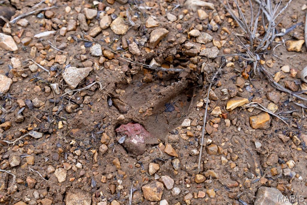 Sanctuary Farms Sub - Land