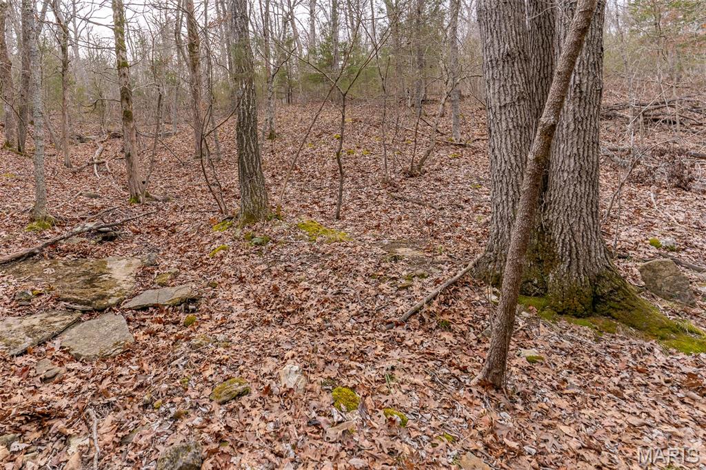 Sanctuary Farms Sub - Land