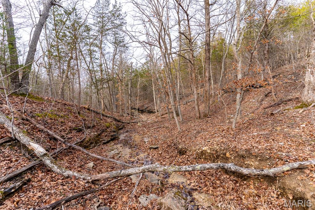 Sanctuary Farms Sub - Land