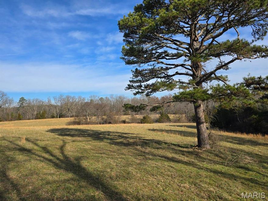 The white oak timber stand's tall and thick on this 98 acres m/l property, with a prime location. Property adjoins the city limits of Houston, Mo. Has about .8 of a mile m/l of creek frontage, stunning rock work, beautiful building sites, two ponds, pasture/hay fields. Hunter's dream, if you are hunting for whitetail and turkey. Major Oak, with smidge of pine and walnut thrown in.