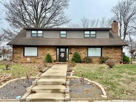 106 Meadowlark Drive Albers IL 62215