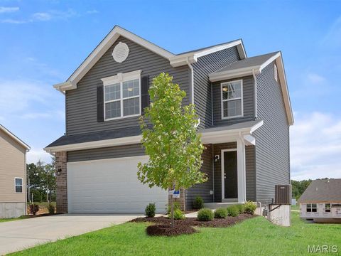 Photo of 16008 Cinderella Court, Ellisville, MO 63021 (MLS # 26016502)