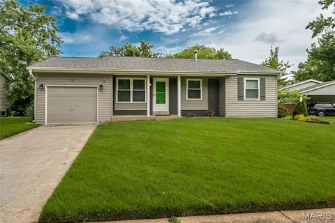 121 Foxtree Drive Hazelwood MO 63042
