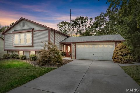 438 Hidden Lake Drive St Peters MO 63304