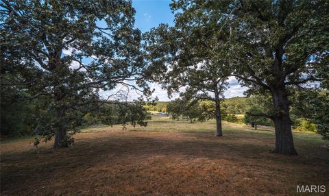 Tiny photo for 9223 E Highway 32, Salem, MO 65560 (MLS # 26057894)