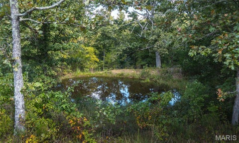 Tiny photo for 9223 E Highway 32, Salem, MO 65560 (MLS # 26057894)