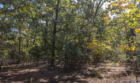 Tiny photo for 9223 E Highway 32, Salem, MO 65560 (MLS # 26057894)