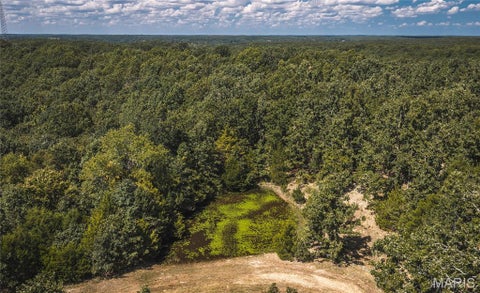 Tiny photo for 9223 E Highway 32, Salem, MO 65560 (MLS # 26057894)