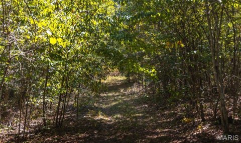Tiny photo for 9223 E Highway 32, Salem, MO 65560 (MLS # 26057894)