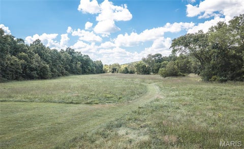 Tiny photo for 9223 E Highway 32, Salem, MO 65560 (MLS # 26057894)