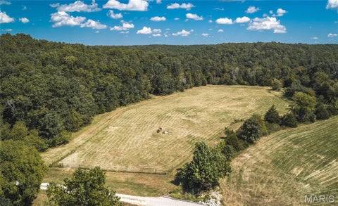 Tiny photo for 9223 E Highway 32, Salem, MO 65560 (MLS # 26057894)