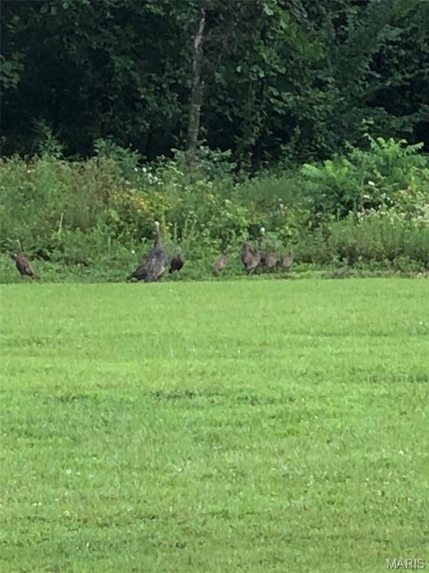 Tiny photo for 9223 E Highway 32, Salem, MO 65560 (MLS # 26057894)