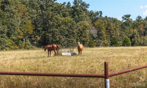 Tiny photo for 9223 E Highway 32, Salem, MO 65560 (MLS # 26057894)