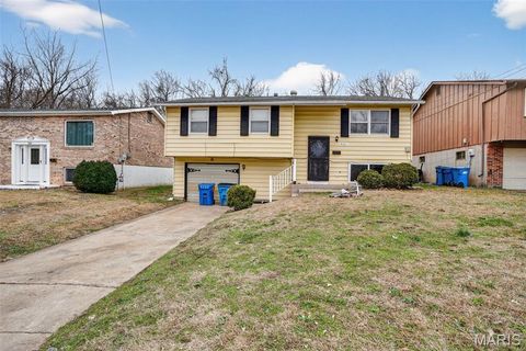 Photo of 9157 Victory Avenue, St Louis, MO 63136 (MLS # 25080795)