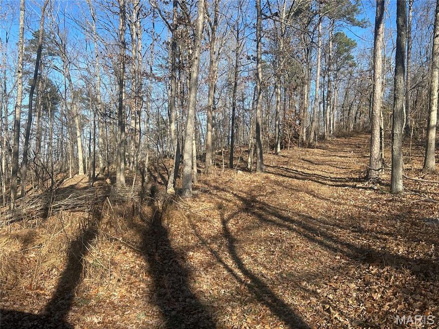 This 26.5 wooded acreage near Mark Twain National Forest offers a fantastic opportunity for outdoor enthusiasts and nature lovers.  With a deeded easement via gravel road off Madison CR 411, the property features natural rock outcroppings, cleared log landings from selective timber harvests, and preserved natural beauty. The versatile lot is ideal for hunting, camping, off-grid living, or ATV riding, making it a perfect retreat with endless possibilities for recreation and solitude.  Property is part of a larger tract.  Lot to be surveyed before closing.  Additional acreage available.  Seller offering surveying, see document with survey pricing.

Seller offering owner financing: 
20% down payment
10% interest
20 year amortization schedule
3 year balloon note
Buyer pays document prep fees
Buyer pays all their own closing cost
Buyer pays survey fee