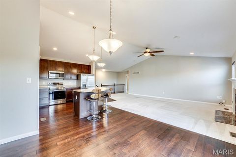 Tiny photo for 925 Meramec Grove Drive, Ballwin, MO 63021 (MLS # 25077530)