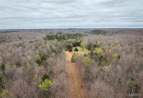 Photo of 000 County Road 2660, Mountain View, MO 65548 (MLS # 26018633)
