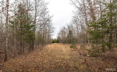 Tiny photo for 000 County Road 2660, Mountain View, MO 65548 (MLS # 26018633)