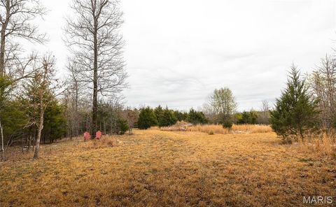 Tiny photo for 000 County Road 2660, Mountain View, MO 65548 (MLS # 26018633)