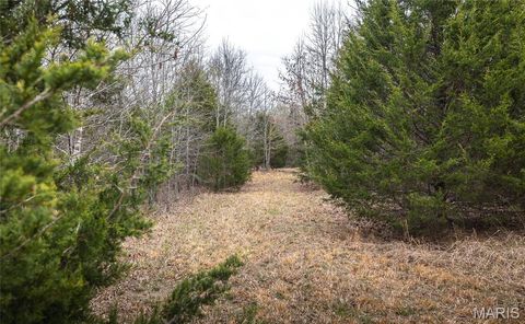 Tiny photo for 000 County Road 2660, Mountain View, MO 65548 (MLS # 26018633)