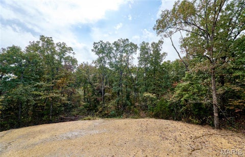 Tiny photo for 41 Sugar Creek Court, Troy, MO 63379 (MLS # 26064111)