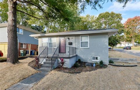 Photo of 1501 Stockard Avenue, Richmond Heights, MO 63117 (MLS # 25069684)