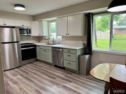 Tiny photo for 1460 Saint Louis Street, Florissant, MO 63033 (MLS # 26030968)