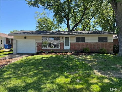 Photo of 1460 Saint Louis Street, Florissant, MO 63033 (MLS # 26030968)