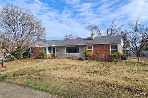 Photo of 1150 Pembroke Drive, St Louis, MO 63119 (MLS # 25078042)