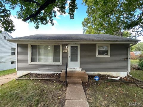 135 Anistasia Drive Hazelwood MO 63135