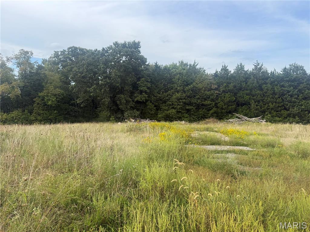 32 acres Pinckney Street