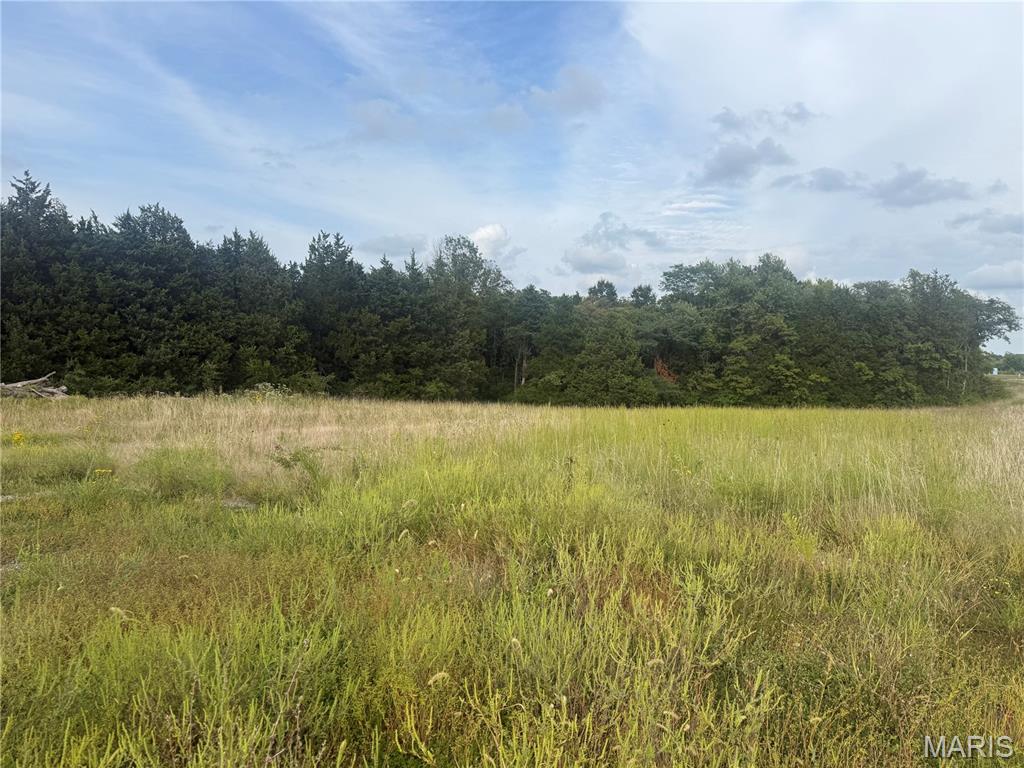 32 acres Pinckney Street