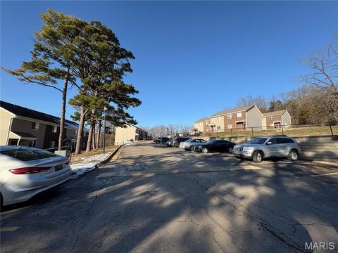 611 Palisades Drive Pacific MO 63069