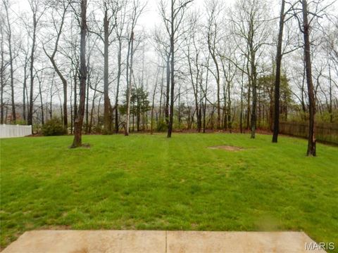 Tiny photo for 904 Indian Rock Court, Wentzville, MO 63385 (MLS # 26025842)