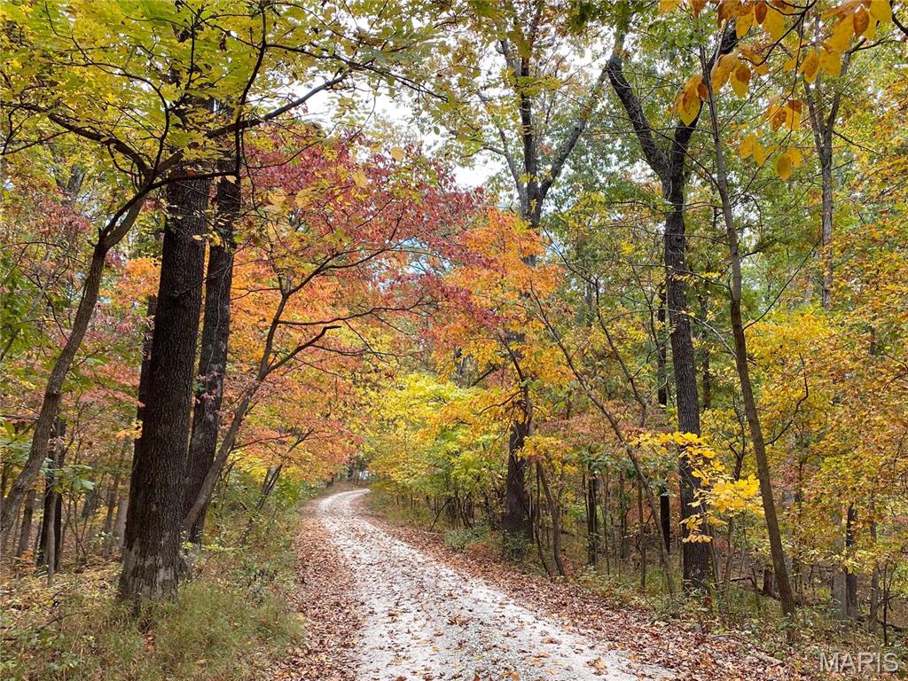 Clarissa A Burt and Chateau Forest - Residential