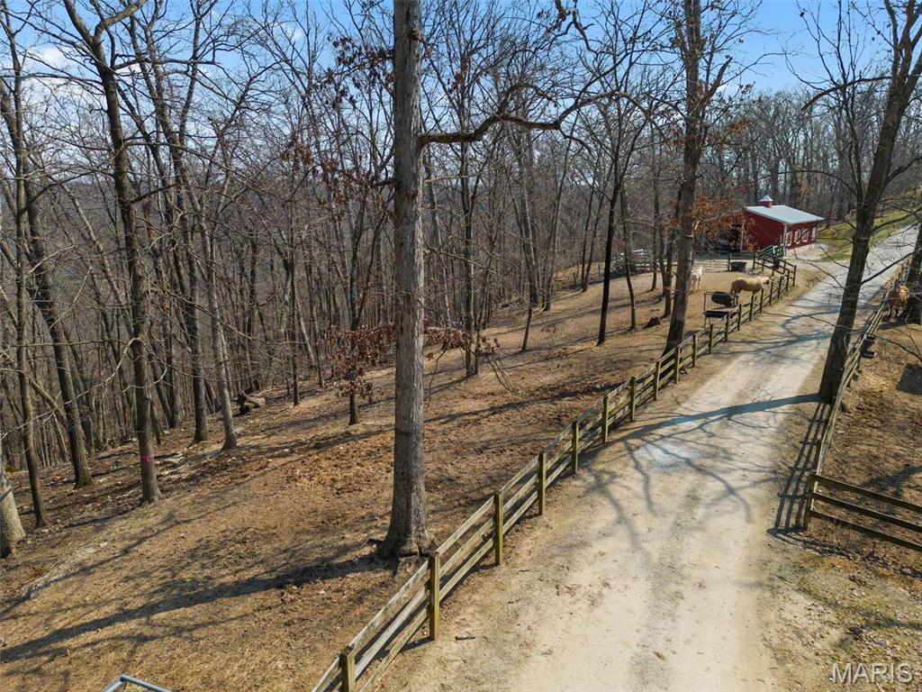 Clarissa A Burt and Chateau Forest - Residential