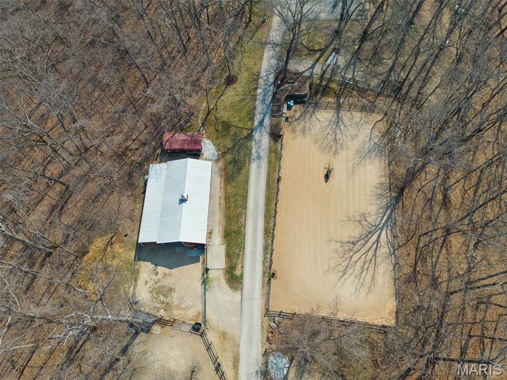 Clarissa A Burt and Chateau Forest - Residential