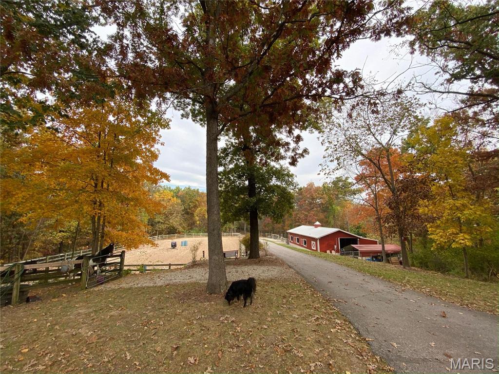 Clarissa A Burt and Chateau Forest - Residential