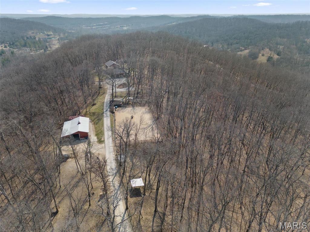 Clarissa A Burt and Chateau Forest - Residential