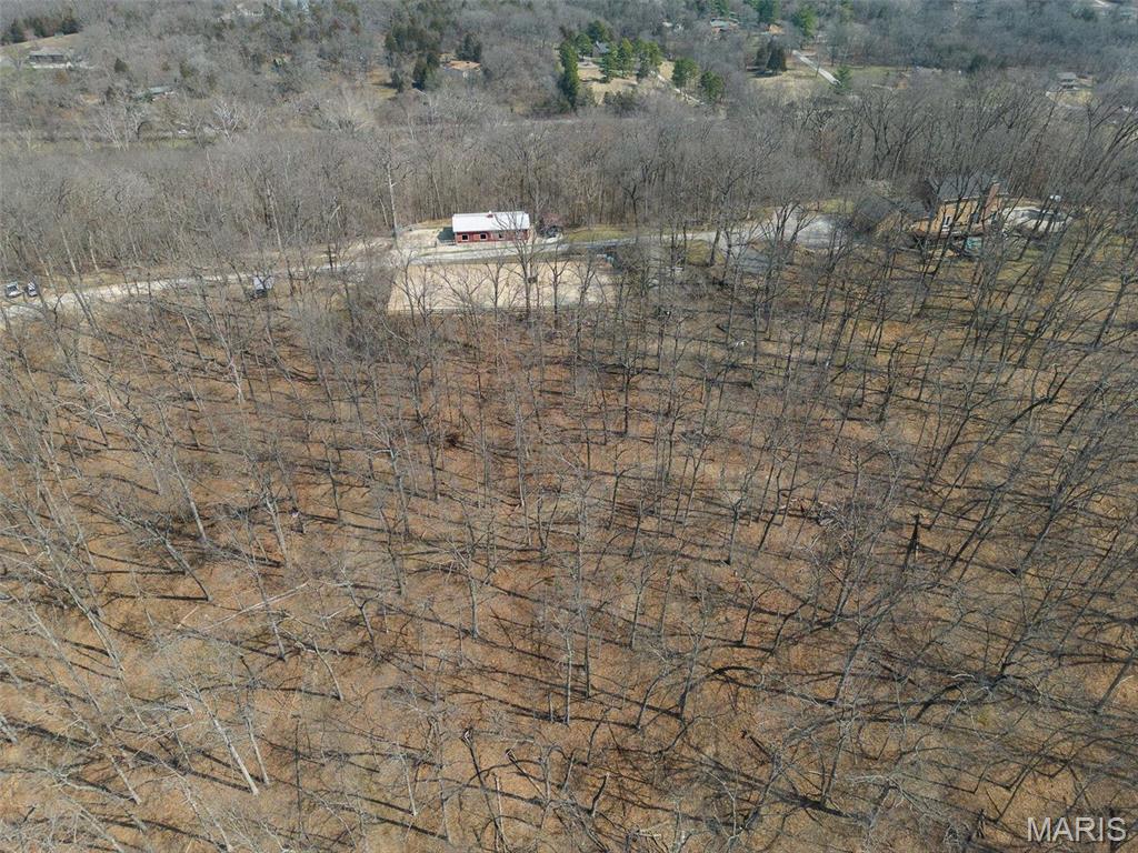 Clarissa A Burt and Chateau Forest - Residential