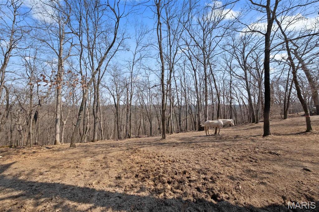 Clarissa A Burt and Chateau Forest - Residential