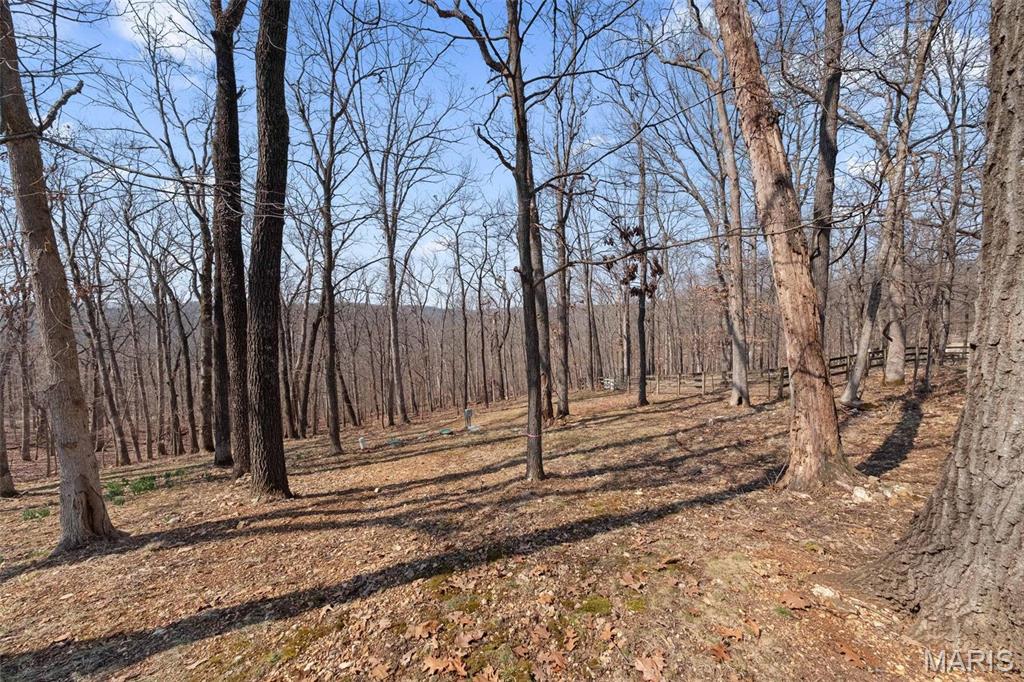 Clarissa A Burt and Chateau Forest - Residential